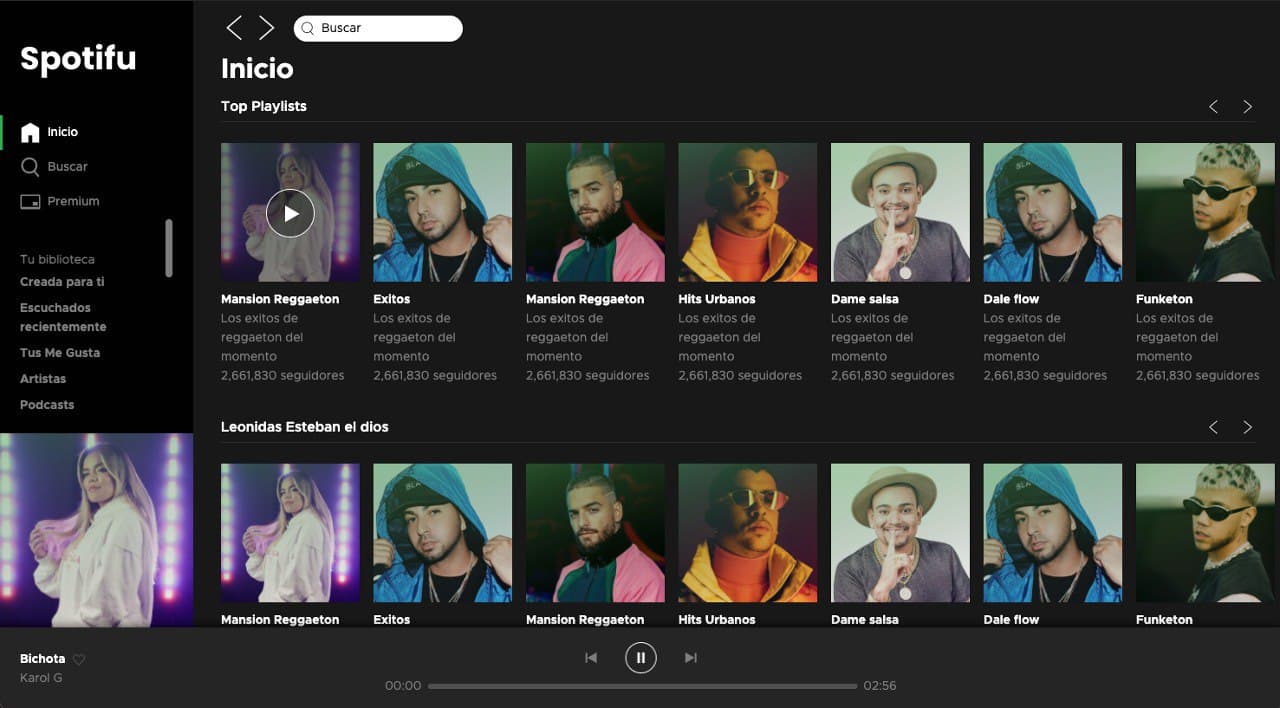 Screenshot of the Spotifu Project